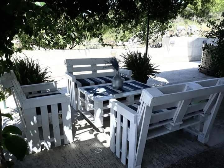 Apartment Venera
